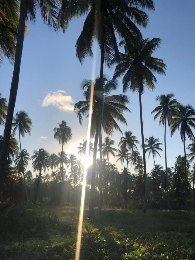 Le Petit Suites Praia De Lages Pôrto de Pedras Εξωτερικό φωτογραφία